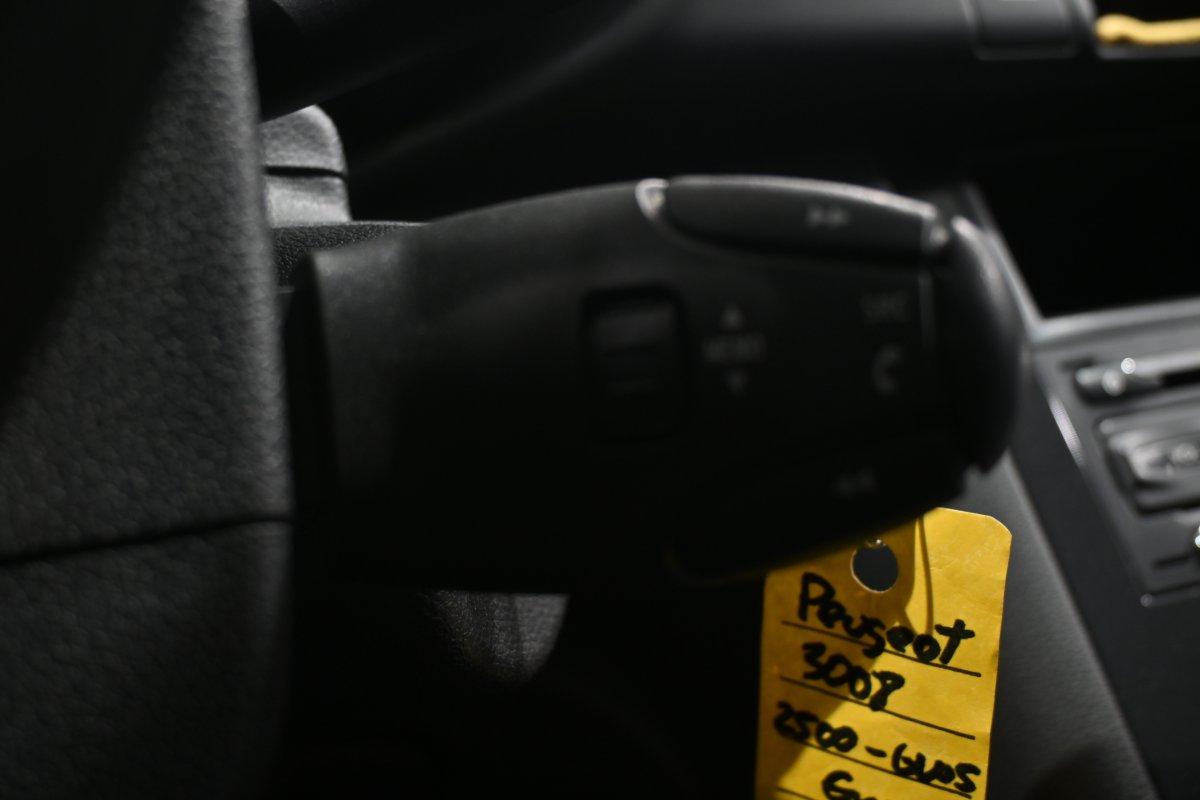 Foto Peugeot 3008 24
