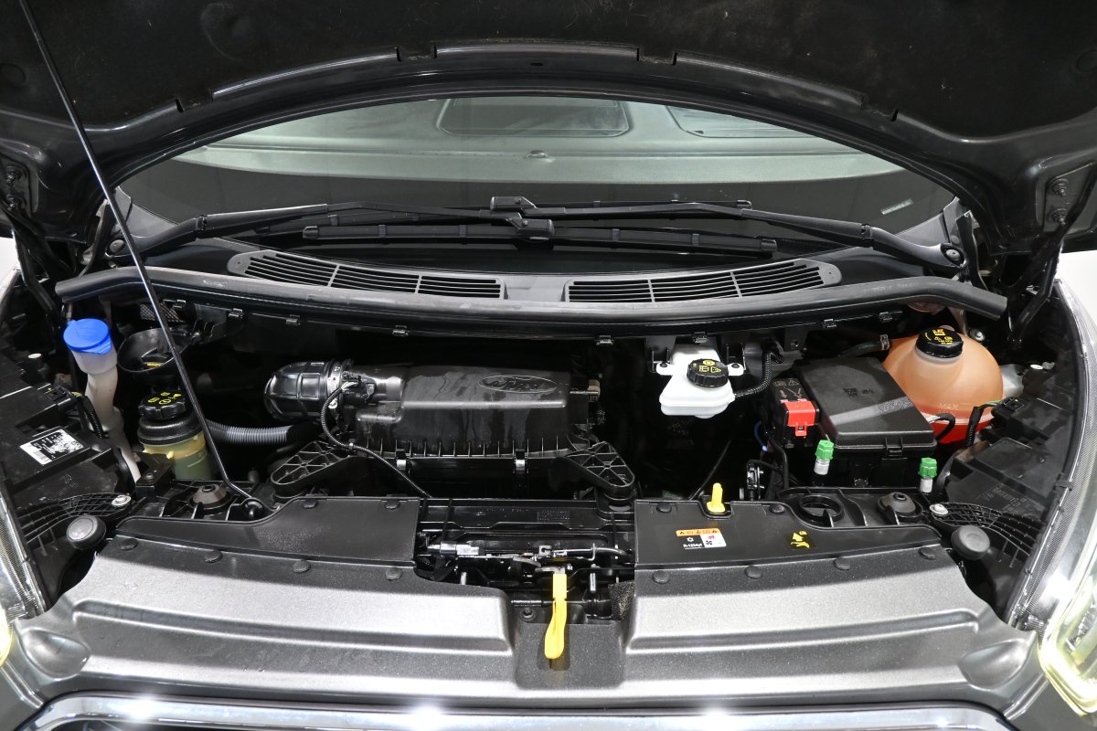 Foto Ford Tourneo 7