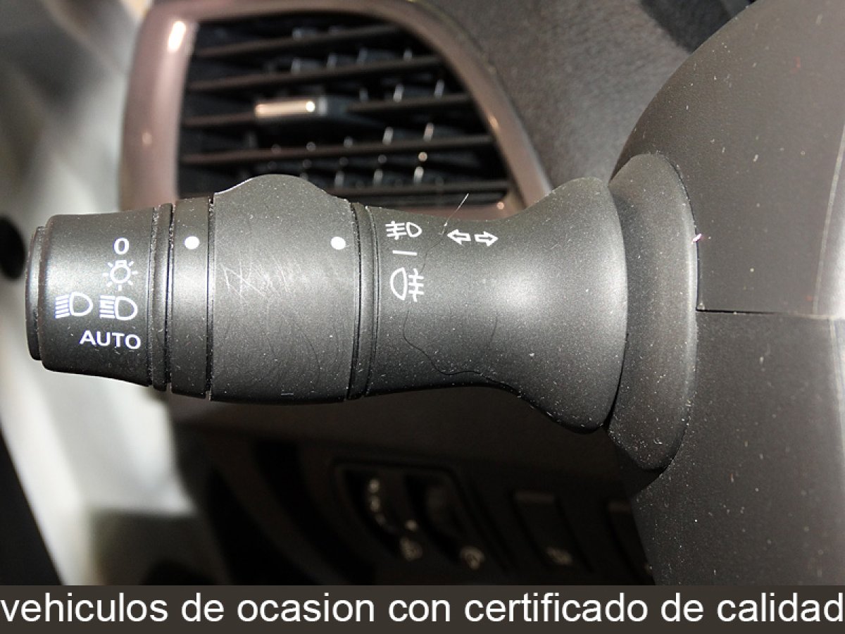 Foto Renault Megane 21