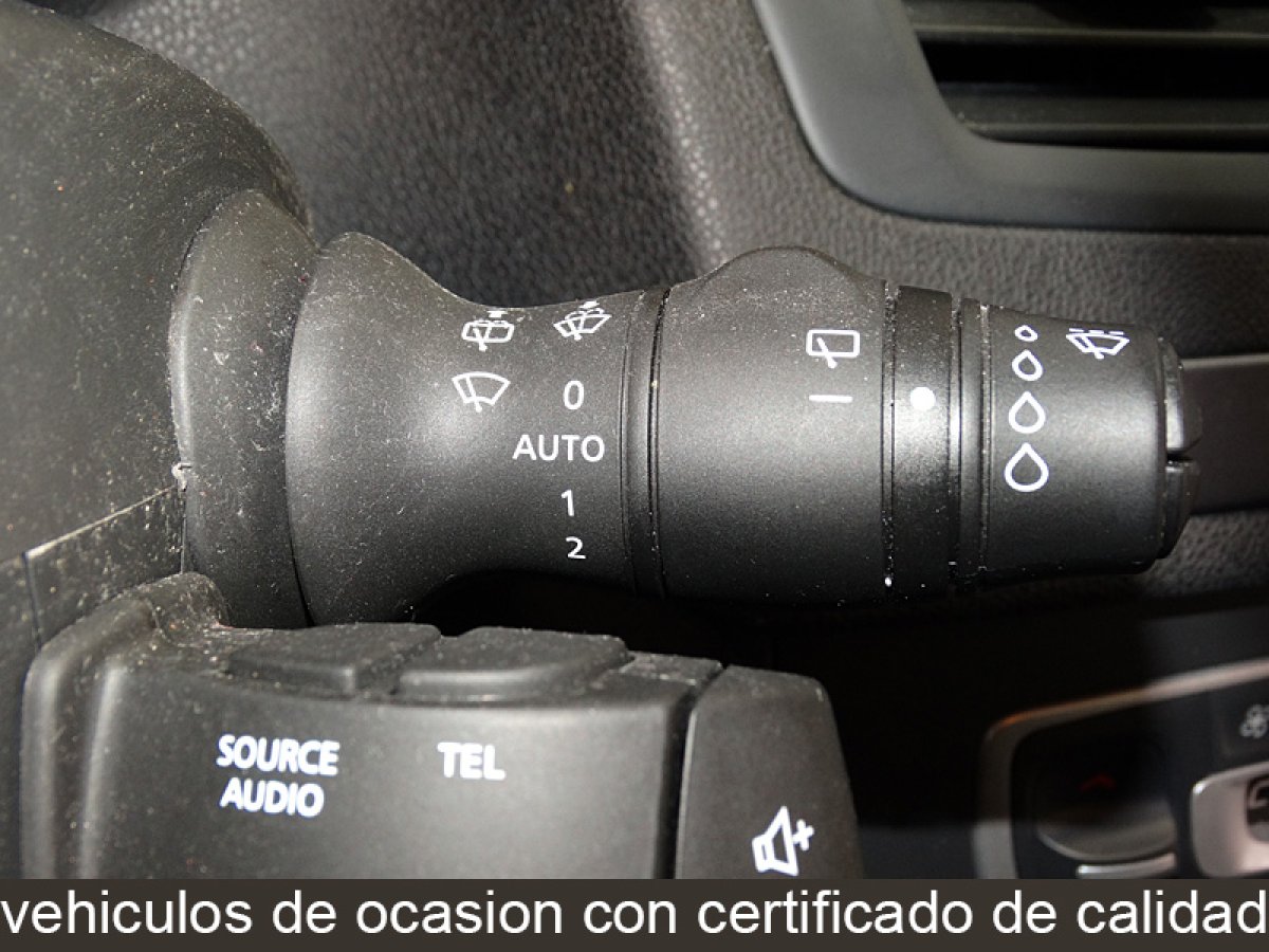 Foto Renault Megane 22