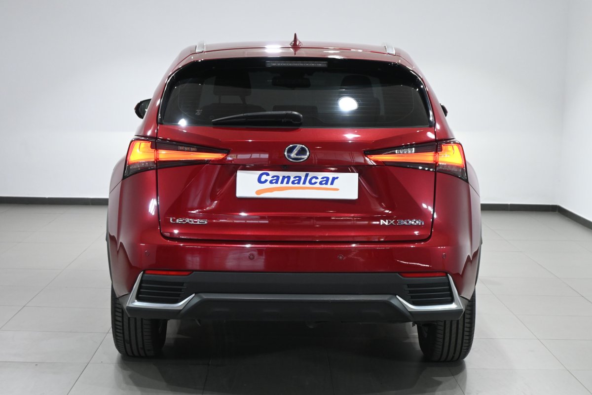 Foto Lexus NX 5