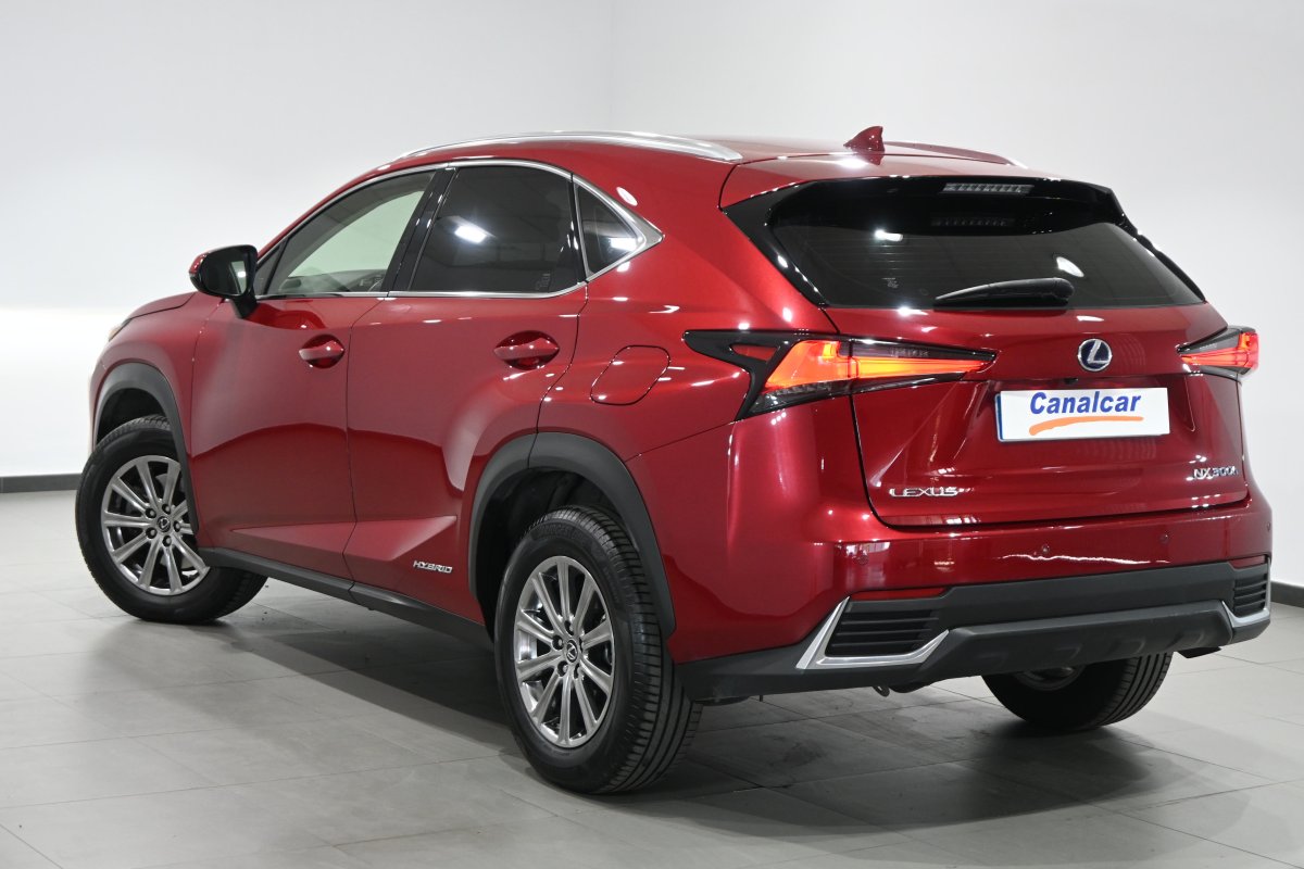Foto Lexus NX 6
