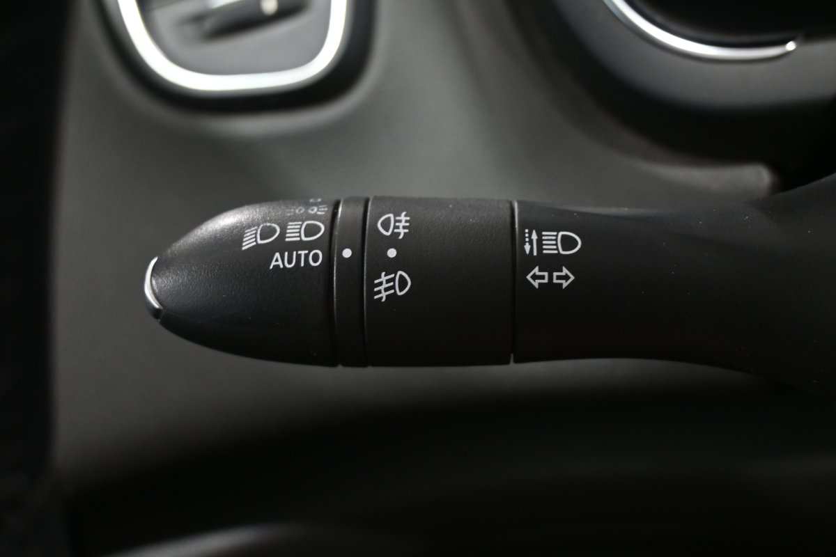 Foto Renault Scenic 21