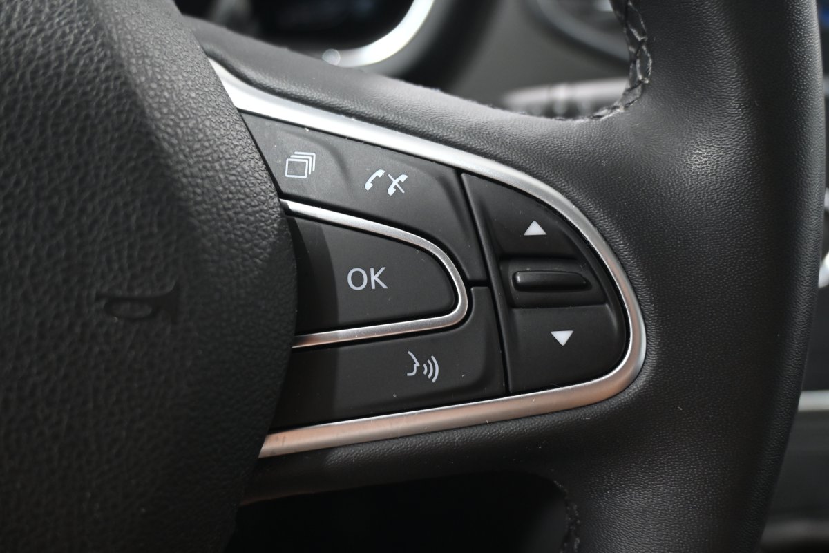 Foto Renault Scenic 20