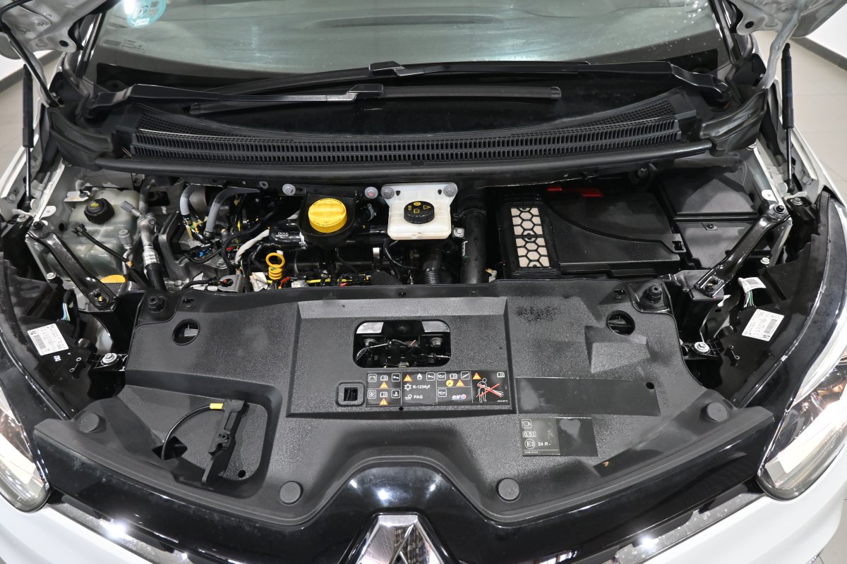Foto Renault Scenic 7