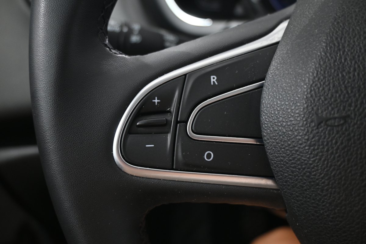 Foto Renault Scenic 19