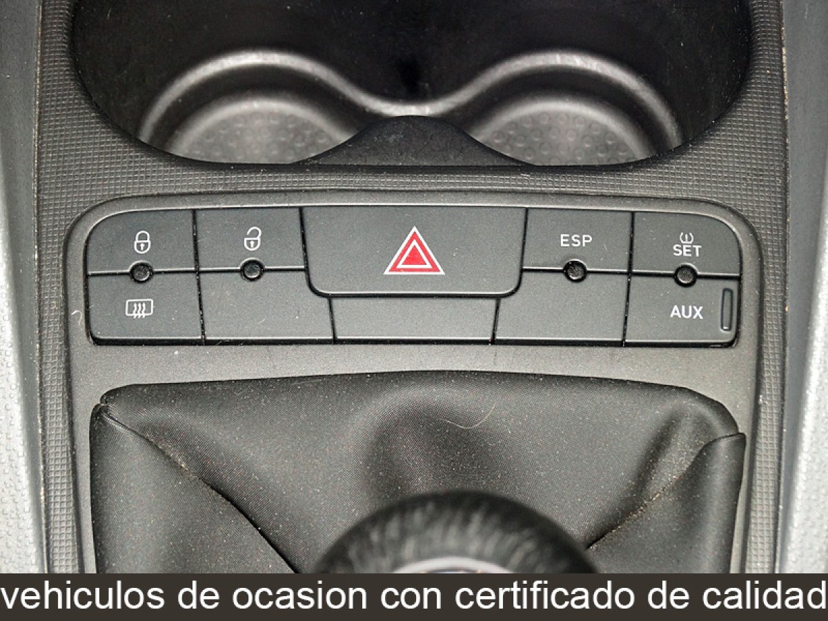 Foto Seat Ibiza 20