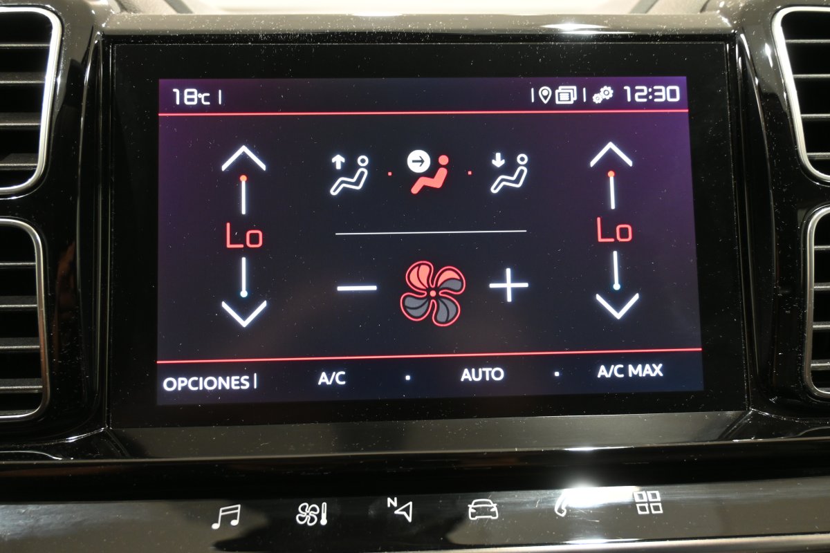 Foto Citroen C5 17