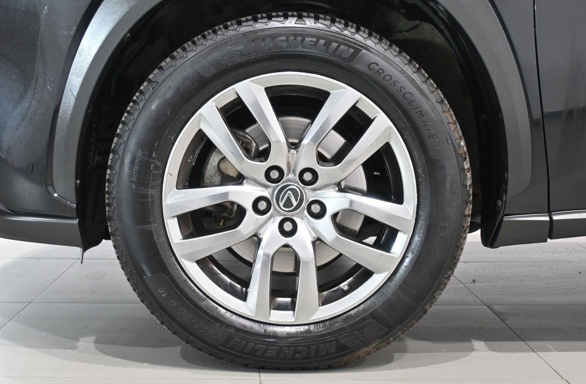 Foto Lexus NX 30