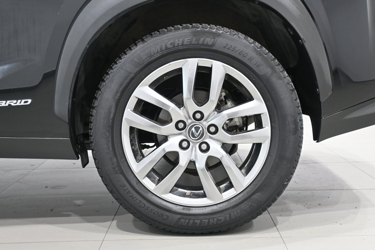 Foto Lexus NX 31