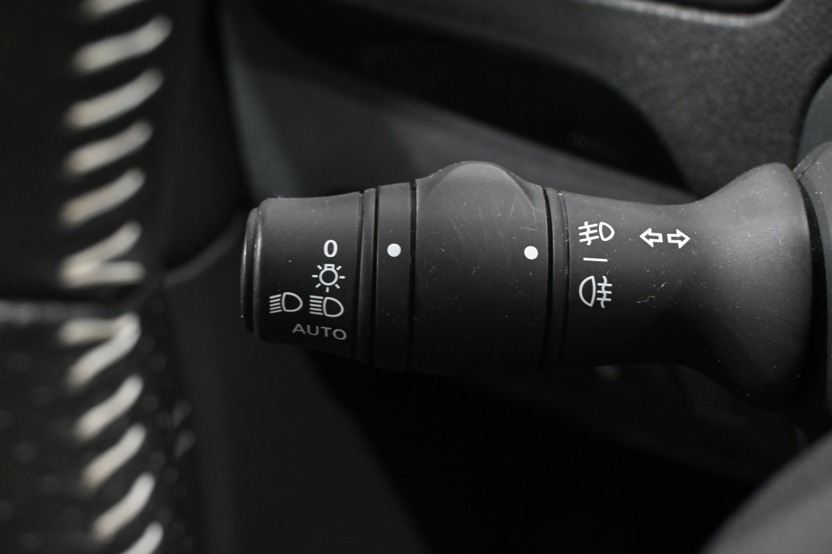 Foto Renault Grand Scenic 21
