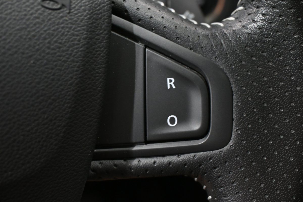 Foto Renault Grand Scenic 25