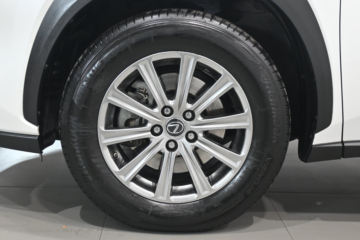Foto Lexus NX 31
