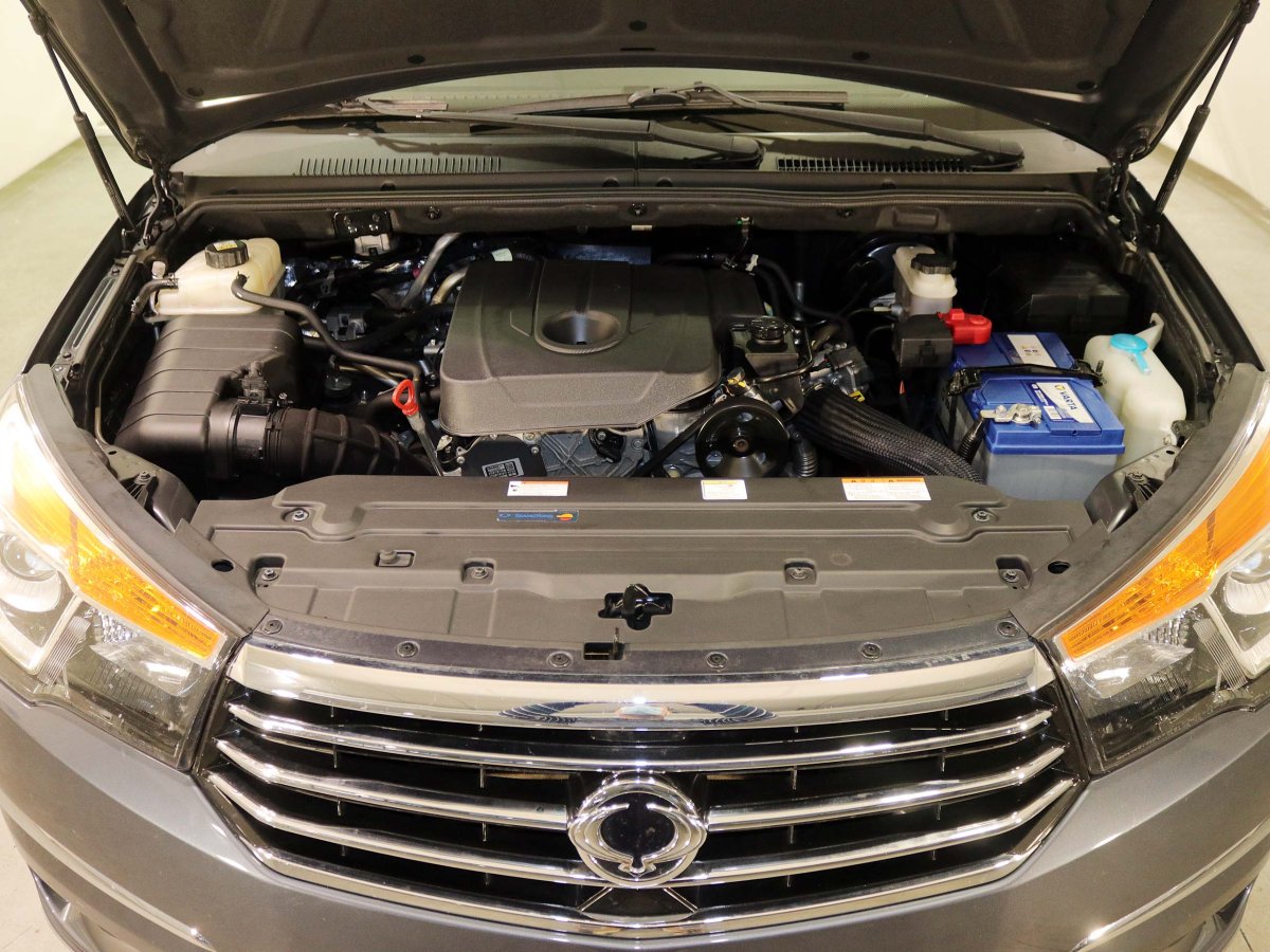 Foto Ssangyong Rodius 7