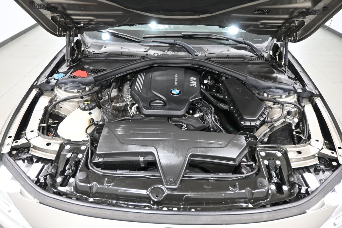 Foto Bmw 318d 7