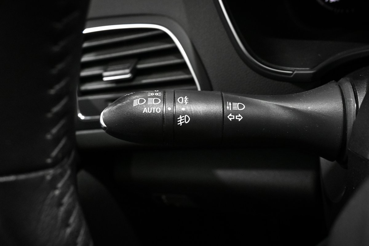 Foto Renault Megane 21