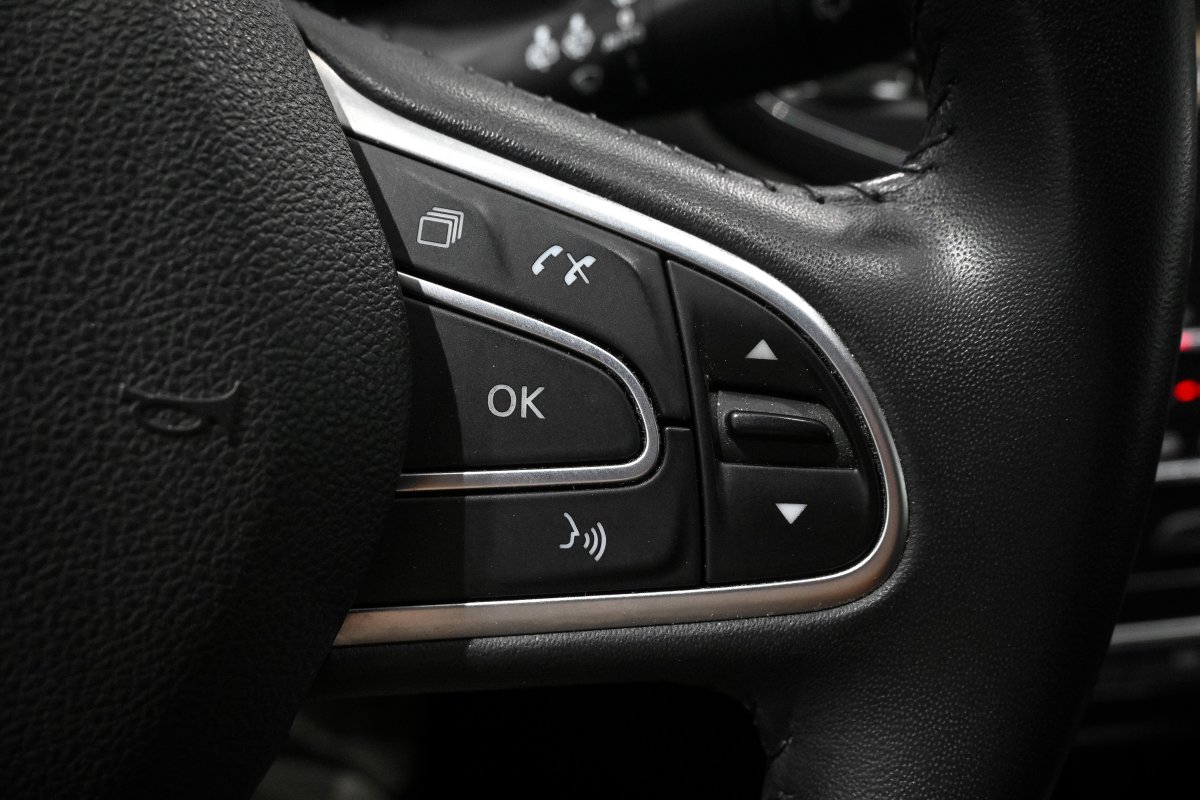 Foto Renault Megane 25