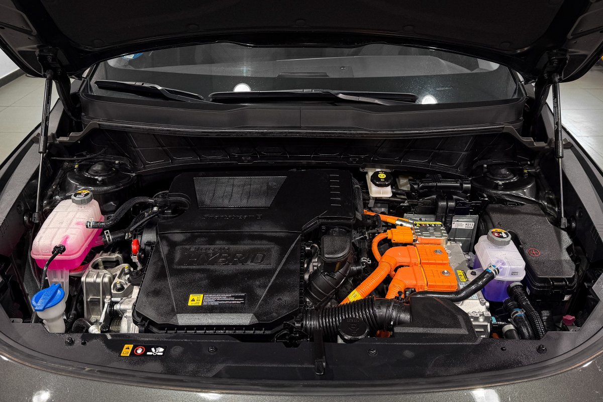 Foto Kia Niro 7