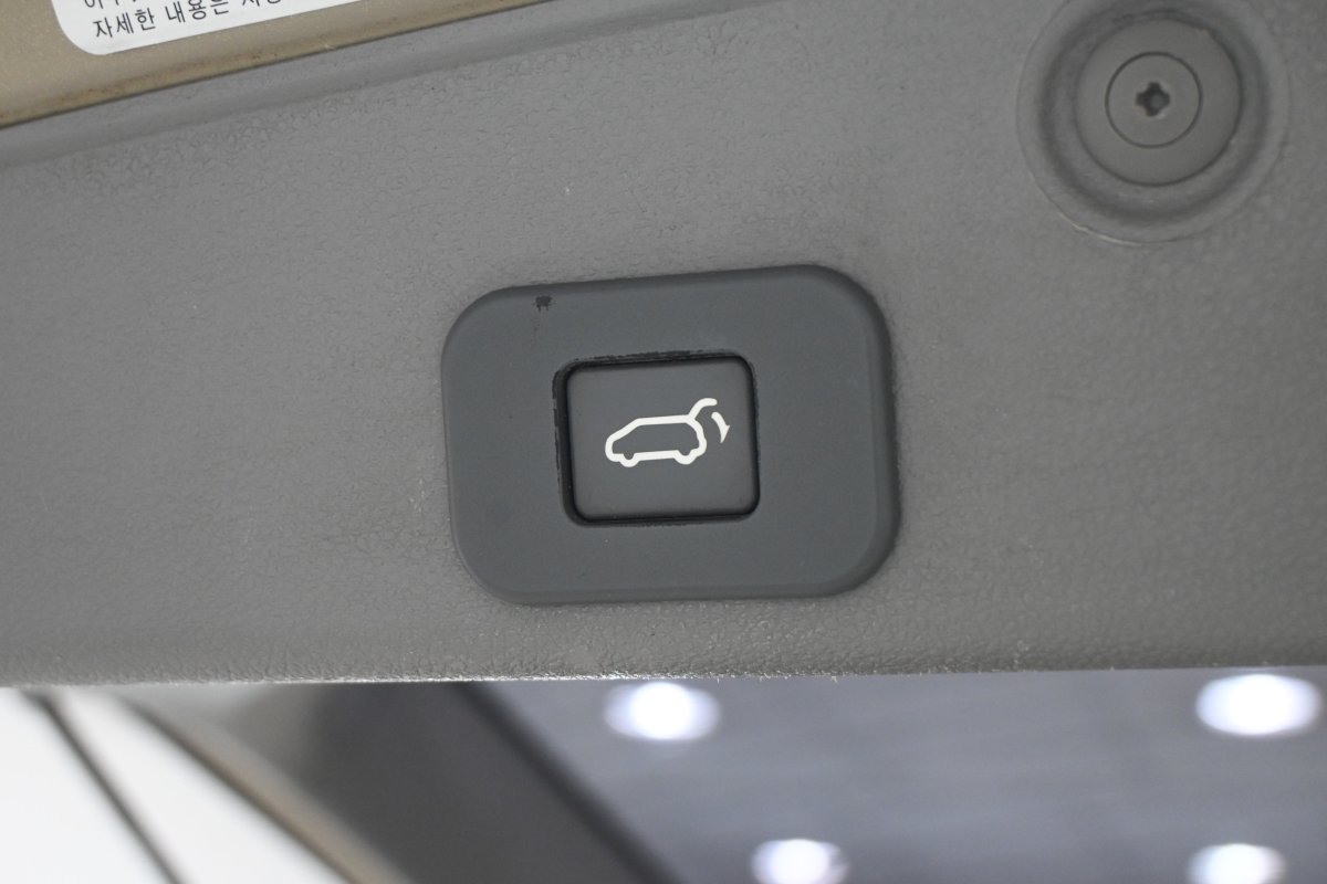 Foto Kia Carnival 9