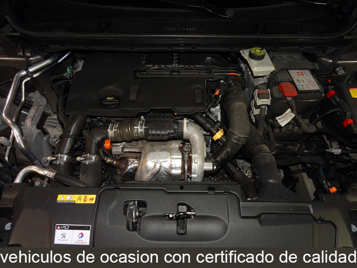 Foto Peugeot 308 7