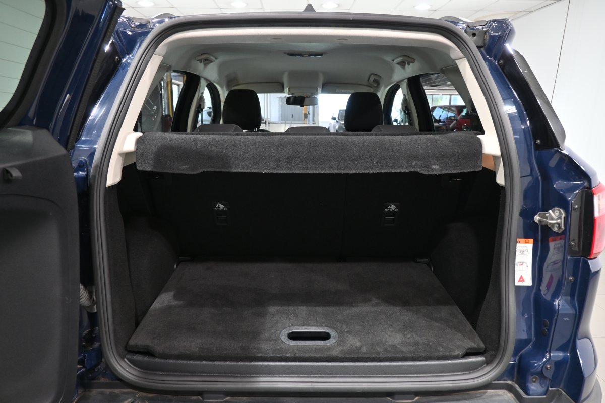 Foto Ford EcoSport 8
