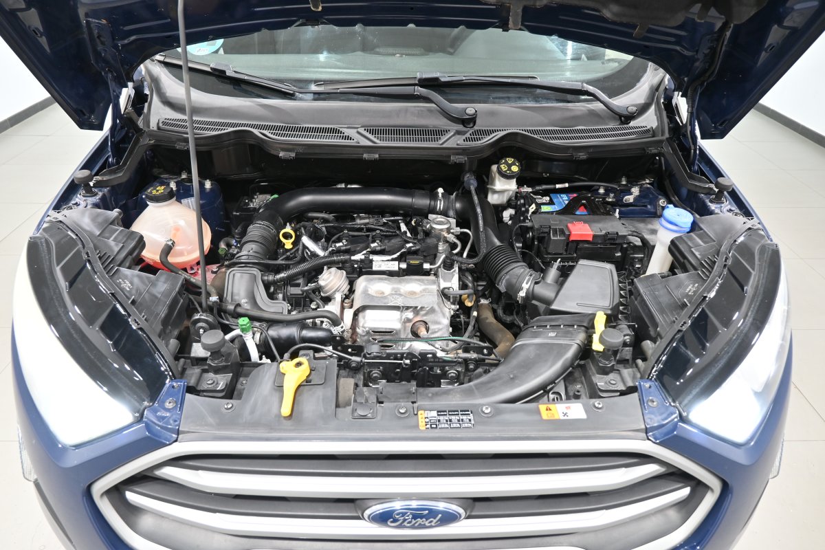 Foto Ford EcoSport 7