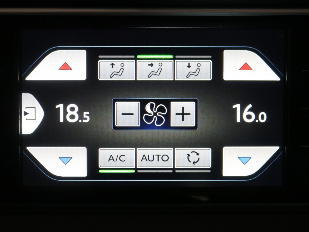Foto Citroen C4 Picasso 19