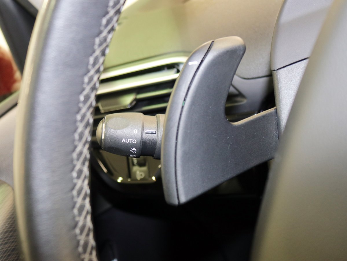 Foto Citroen C4 Picasso 29