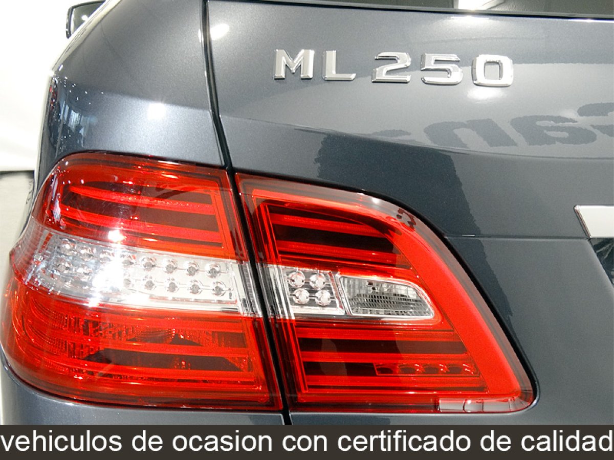 Foto Mercedes-Benz ML 250 14