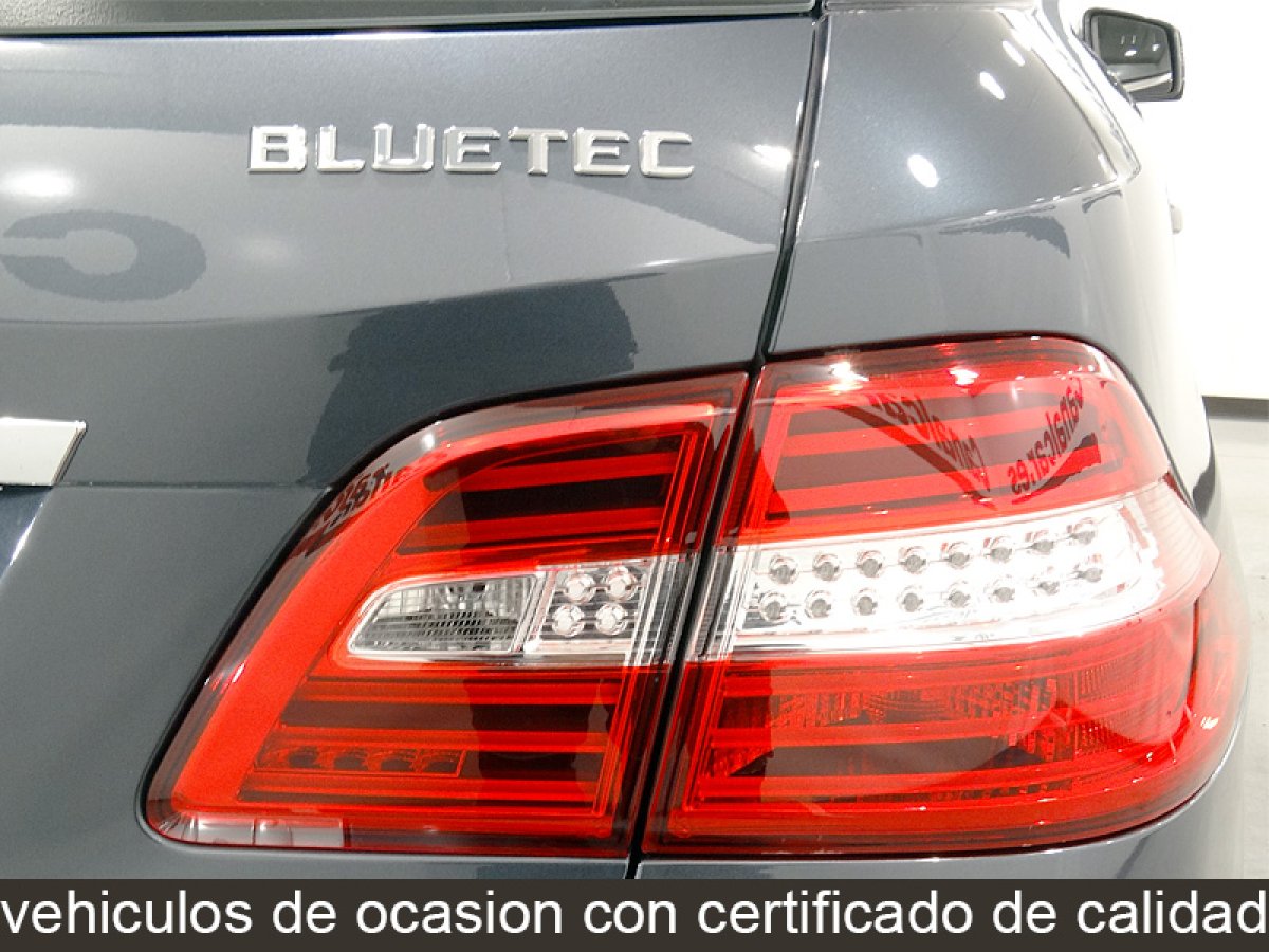 Foto Mercedes-Benz ML 250 15