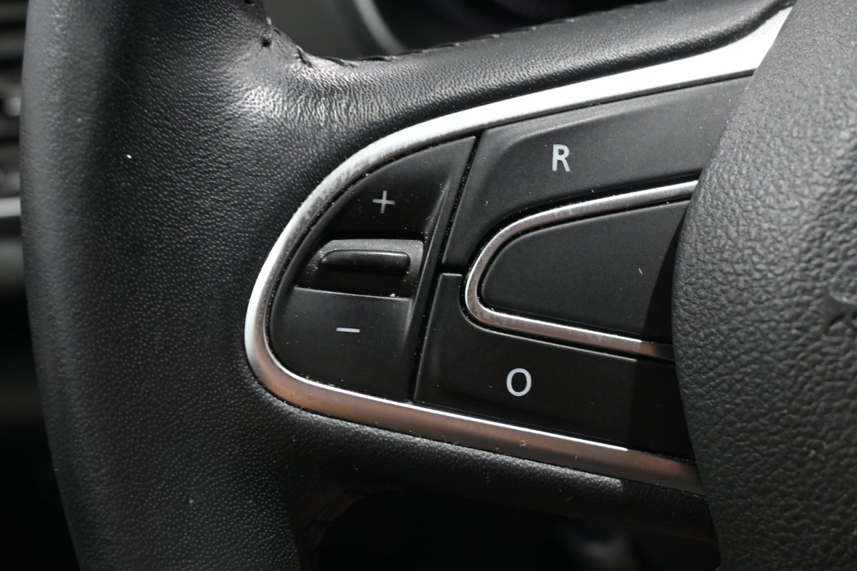 Foto Renault Megane 24
