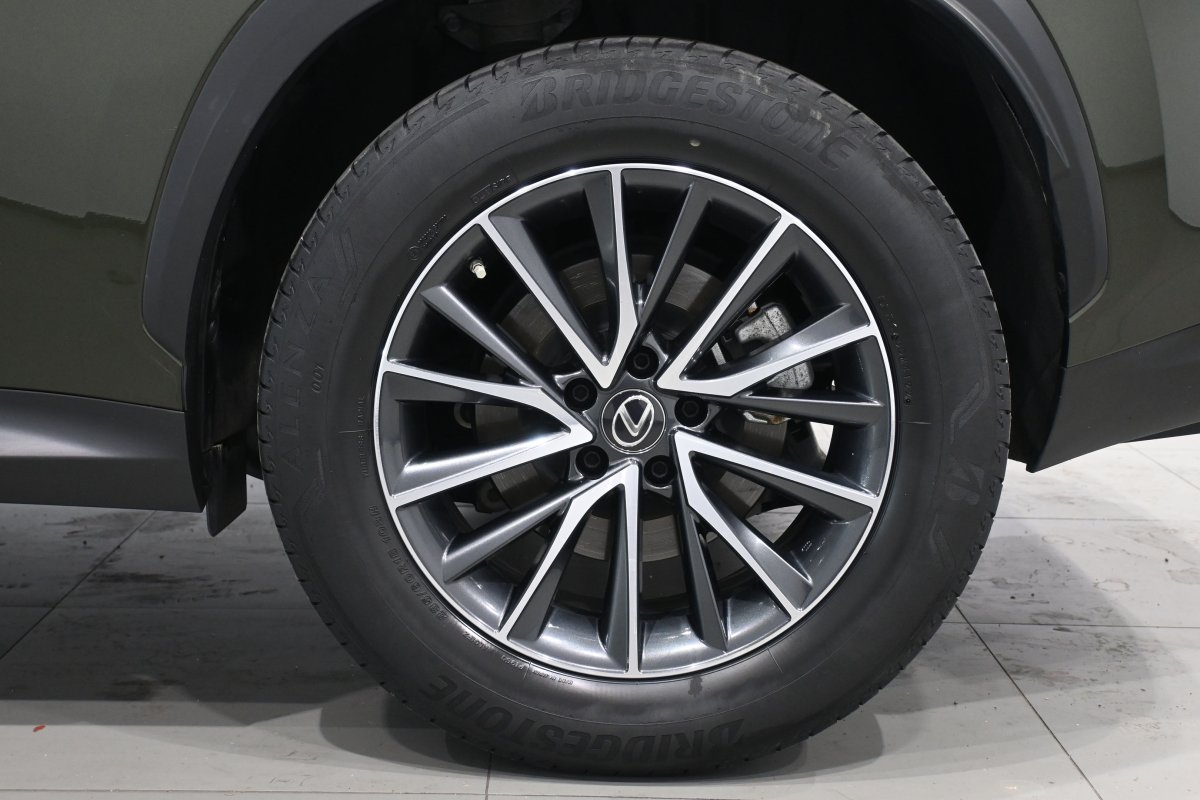 Foto Lexus NX 31