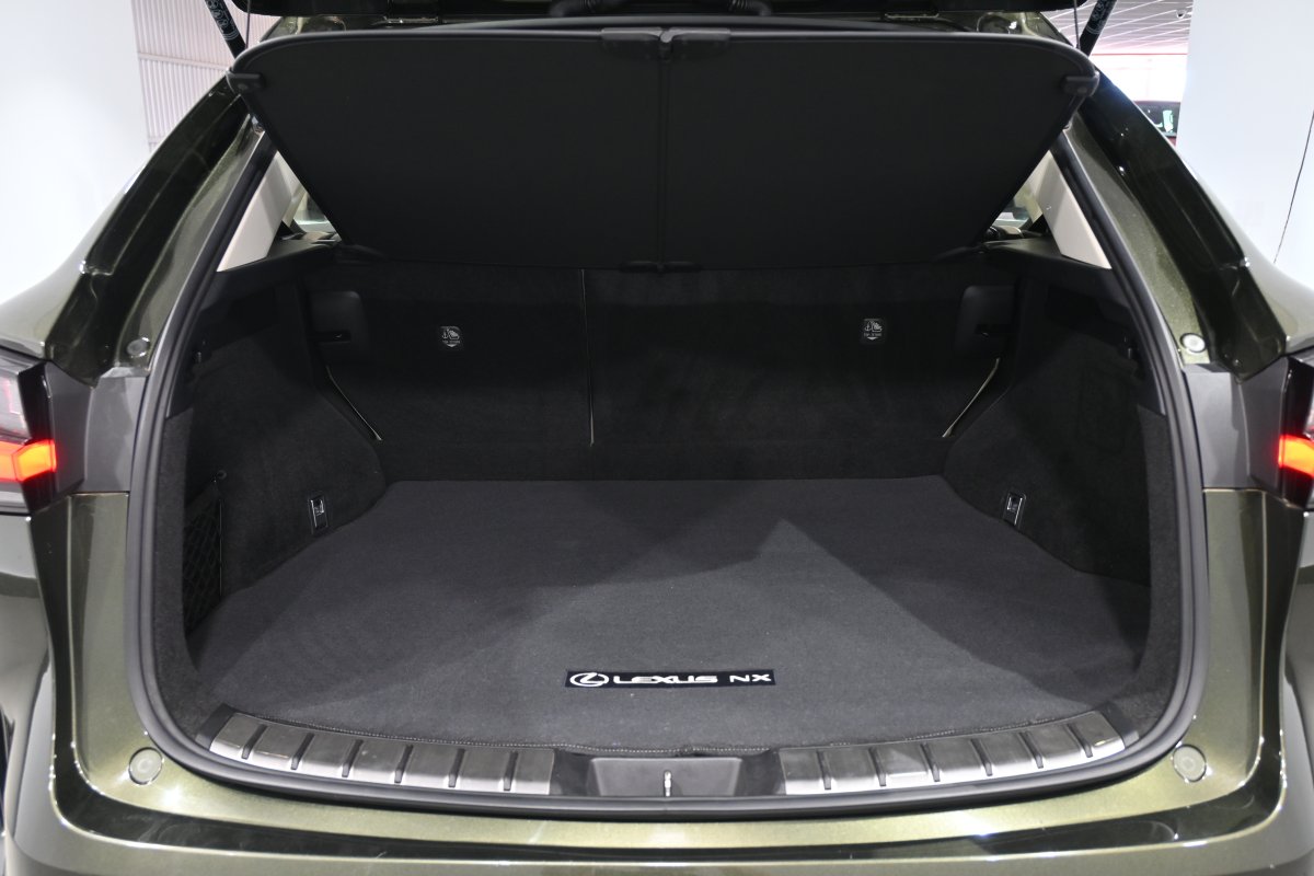 Foto Lexus NX 8
