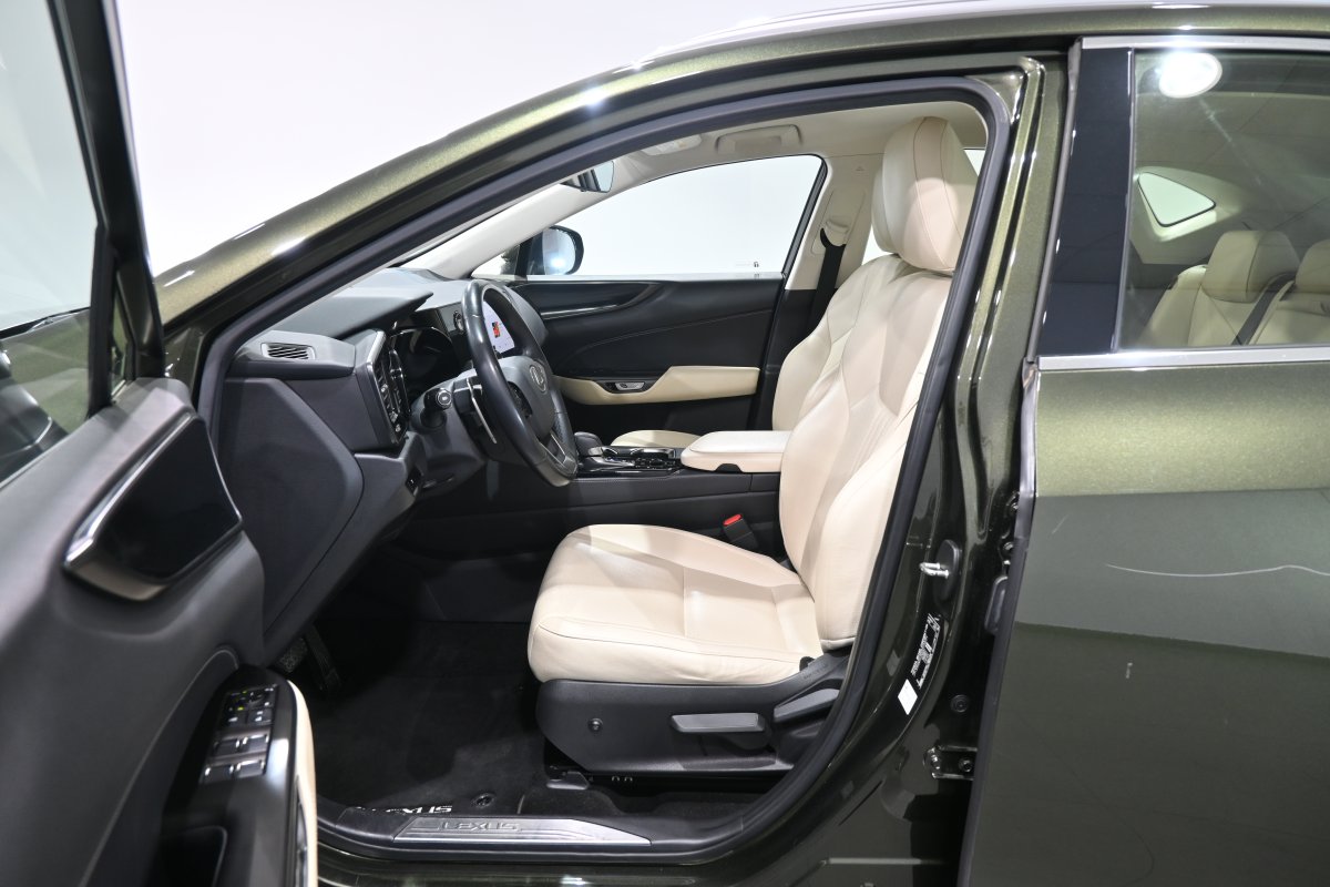 Foto Lexus NX 10