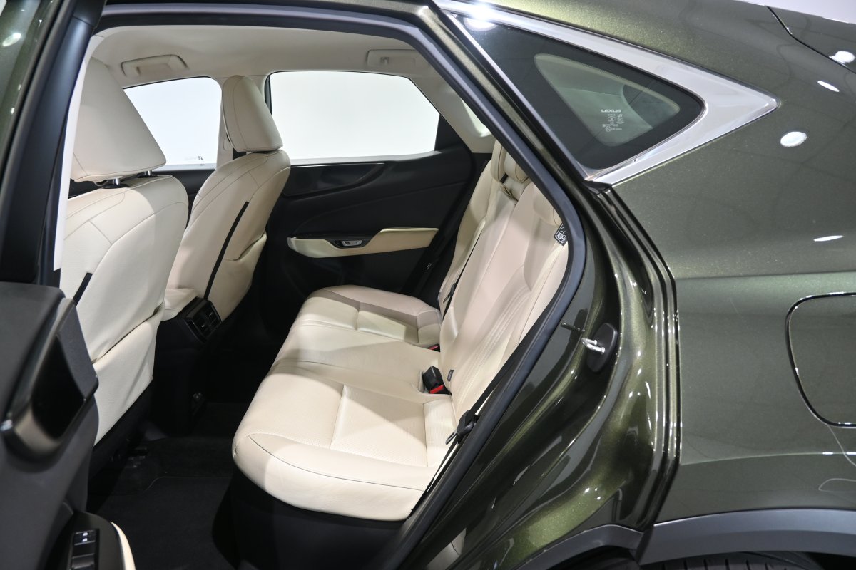 Foto Lexus NX 11