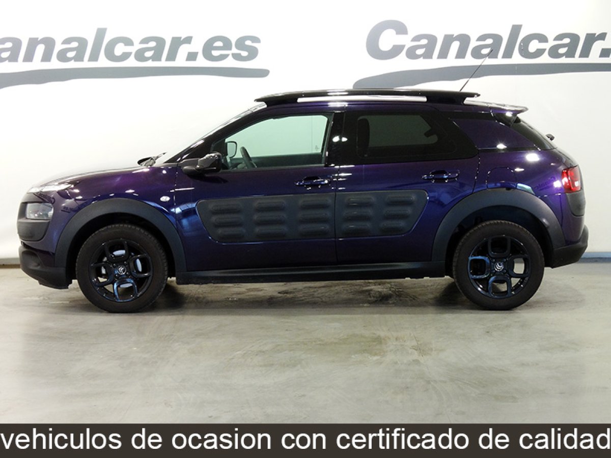 Foto Citroen C4 Cactus 8