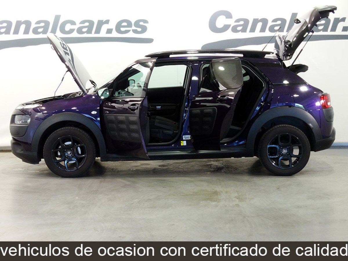 Foto Citroen C4 Cactus 9