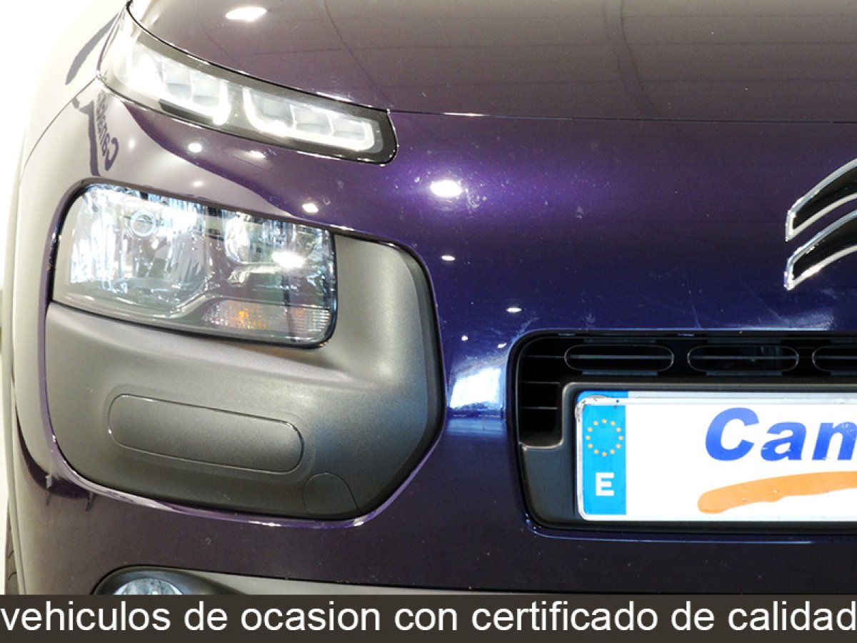 Foto Citroen C4 Cactus 10