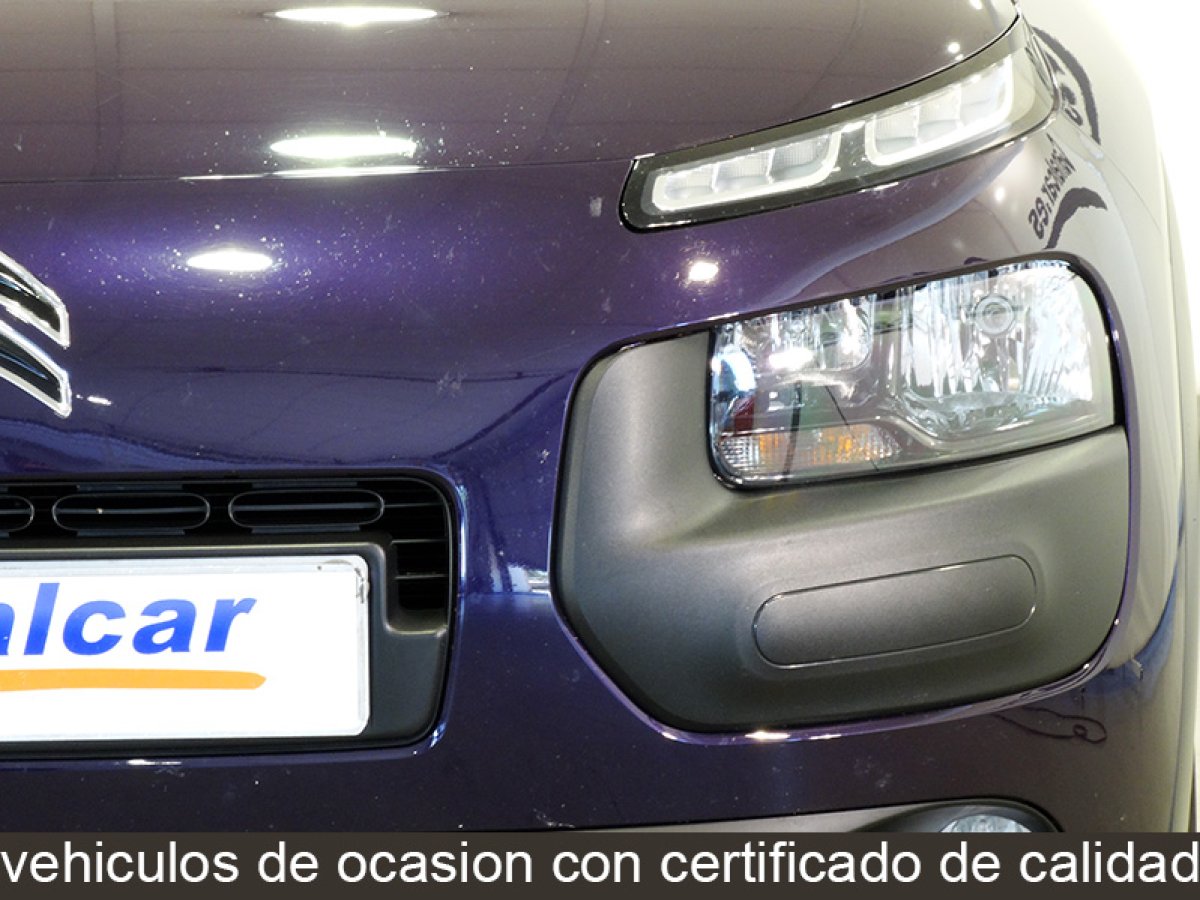 Foto Citroen C4 Cactus 11