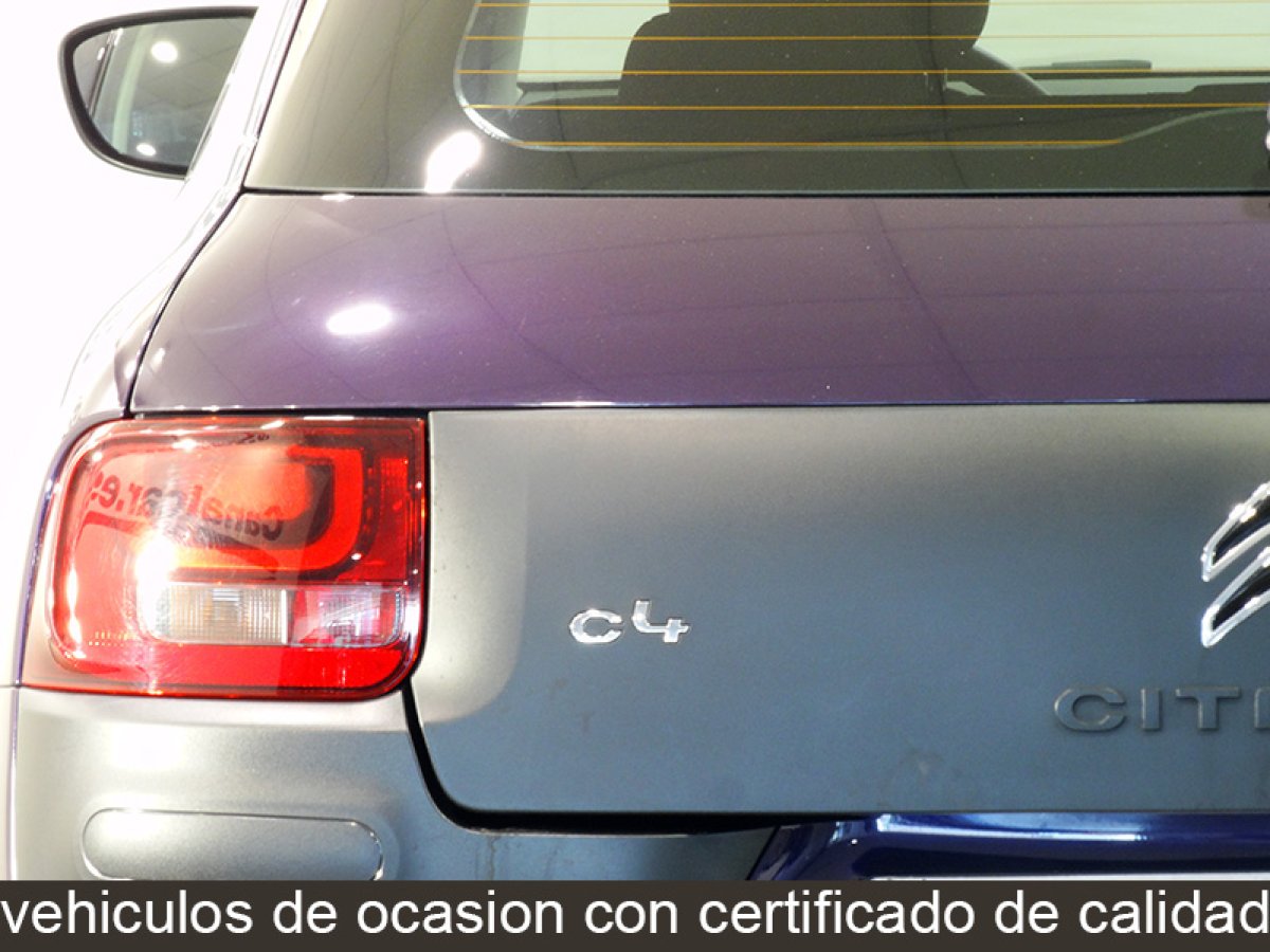 Foto Citroen C4 Cactus 12