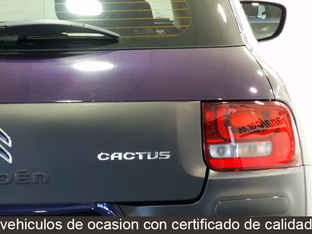 Foto Citroen C4 Cactus 13