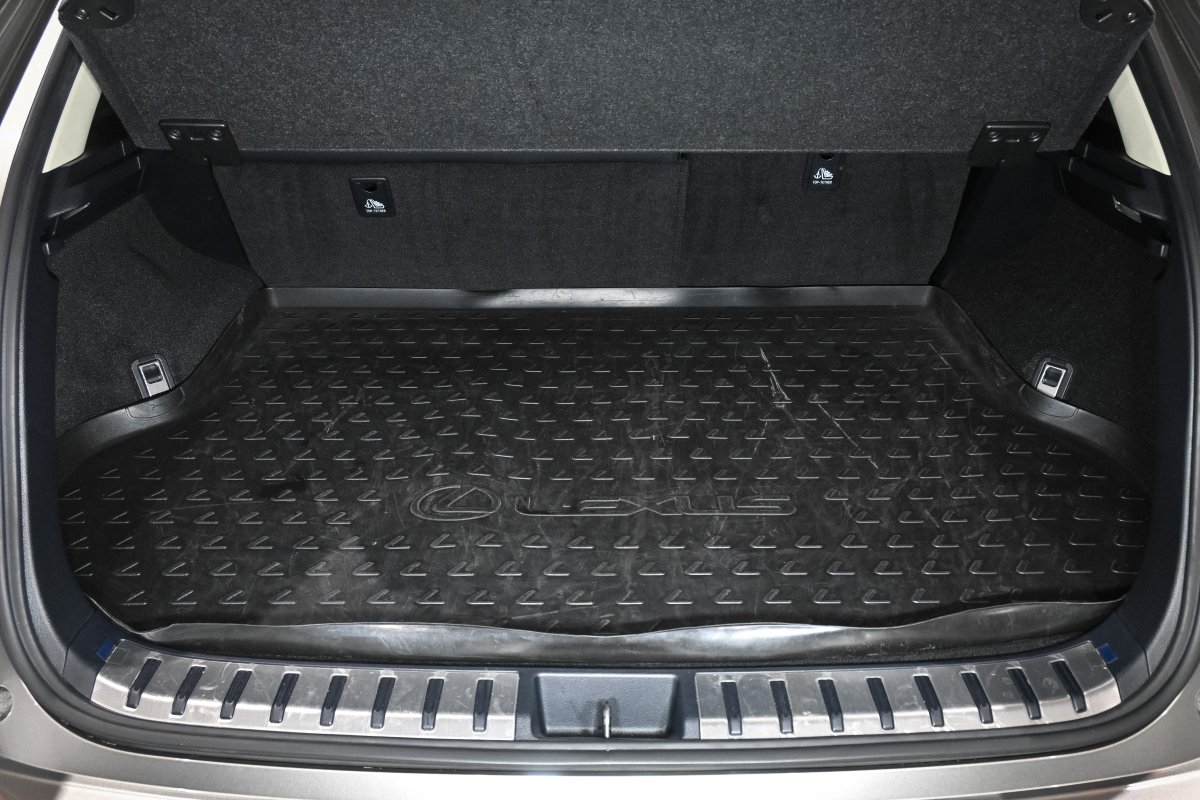 Foto Lexus NX 8