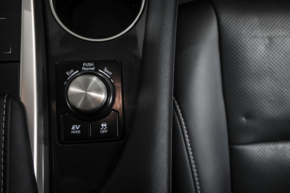 Foto Lexus RX450h 19