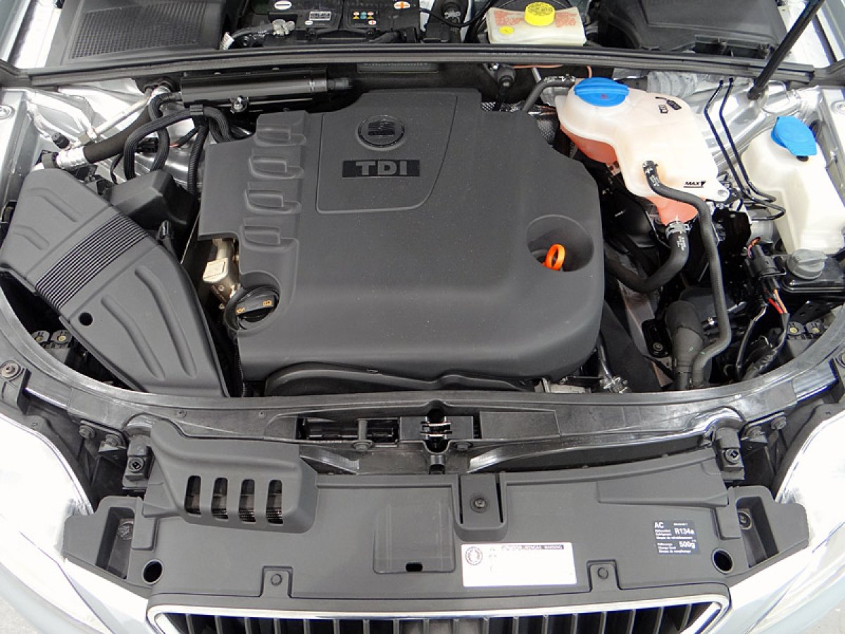 Foto Seat Exeo 19