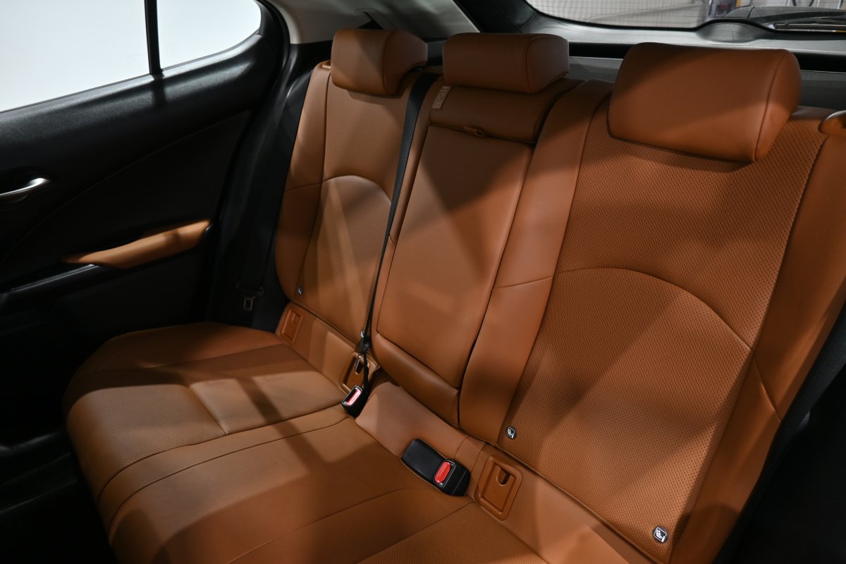 Foto Lexus UX 12