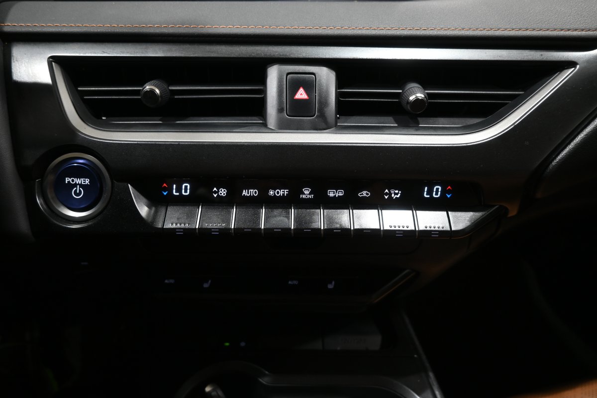 Foto Lexus UX 15