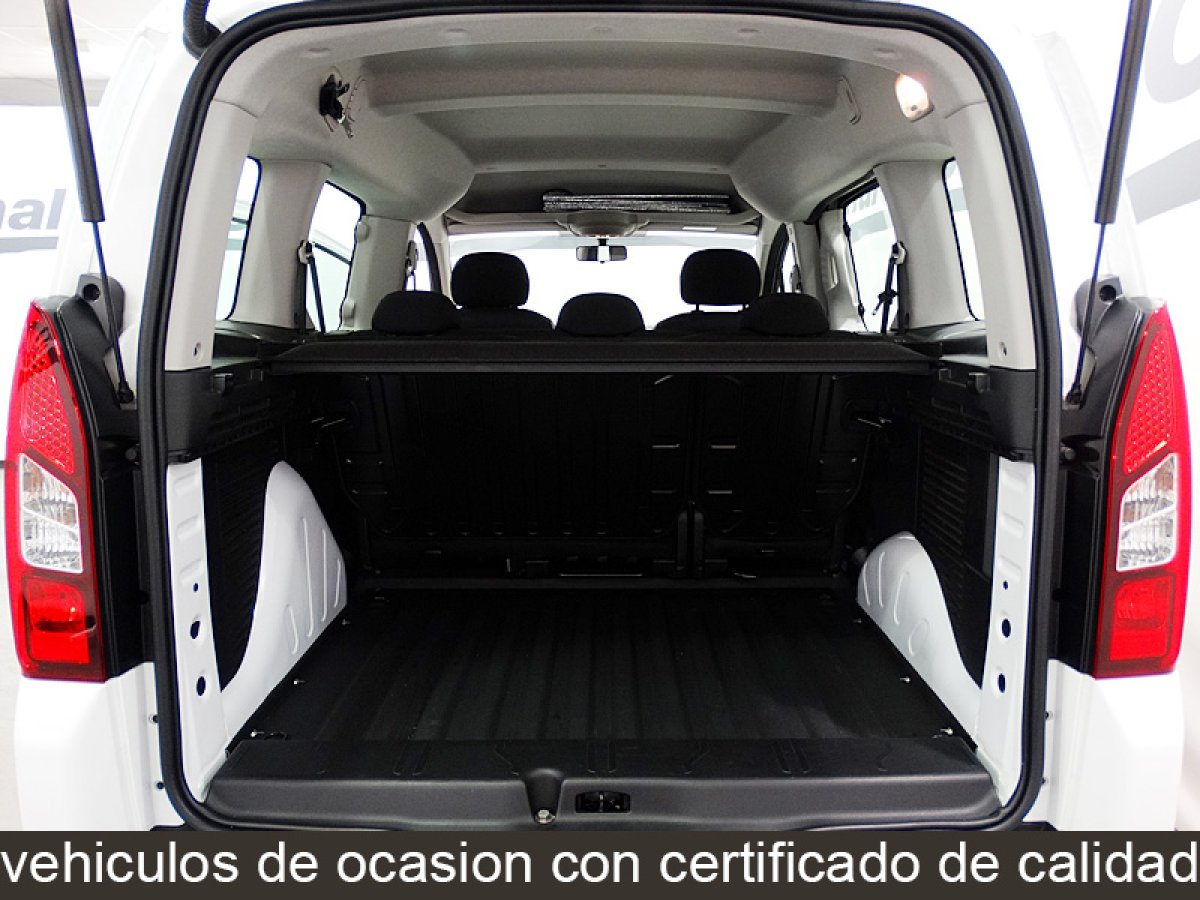Foto Citroen Berlingo 15