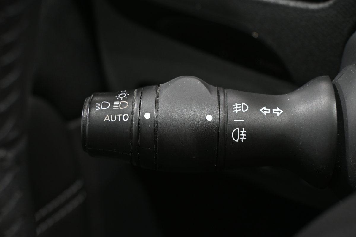 Foto Renault G.Scénic 19