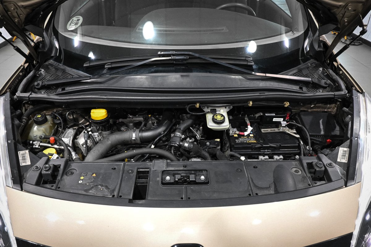 Foto Renault Scenic 8