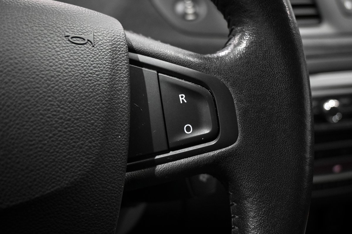 Foto Renault Scenic 22